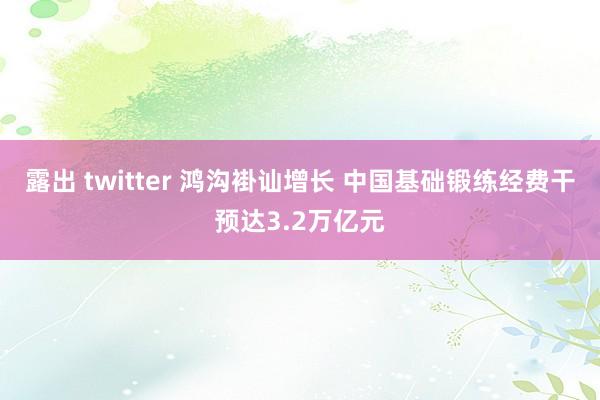 露出 twitter 鸿沟褂讪增长 中国基础锻练经费干预达3.2万亿元