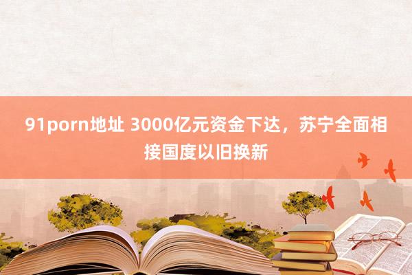 91porn地址 3000亿元资金下达，苏宁全面相接国度以旧换新