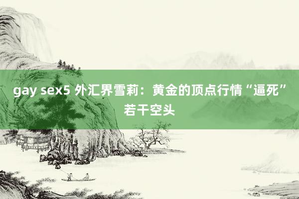 gay sex5 外汇界雪莉：黄金的顶点行情“逼死”若干空头