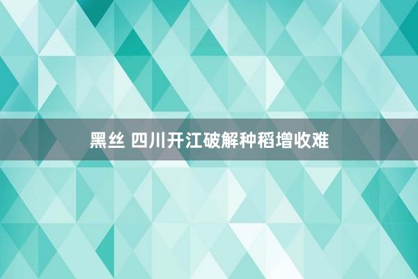 黑丝 四川开江破解种稻增收难