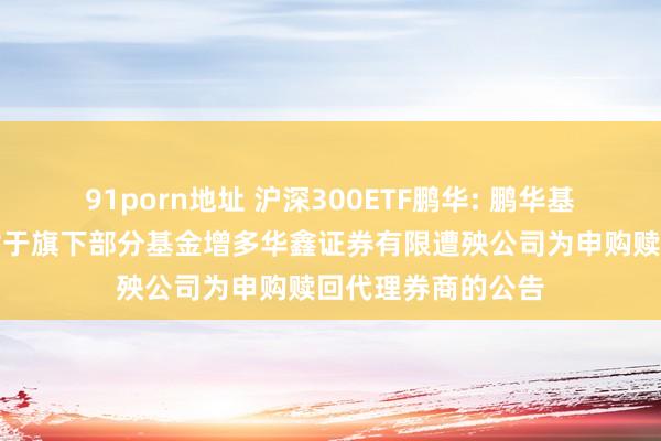91porn地址 沪深300ETF鹏华: 鹏华基金处分有限公司对于旗下部分基金增多华鑫证券有限遭殃公司为申购赎回代理券商的公告