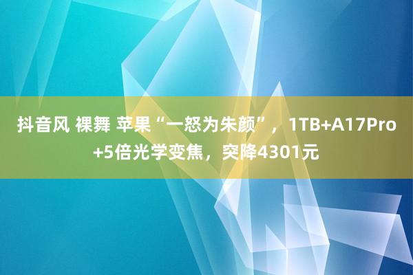 抖音风 裸舞 苹果“一怒为朱颜”，1TB+A17Pro+5倍光学变焦，突降4301元