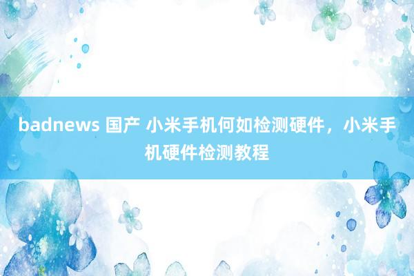 badnews 国产 小米手机何如检测硬件，小米手机硬件检测教程