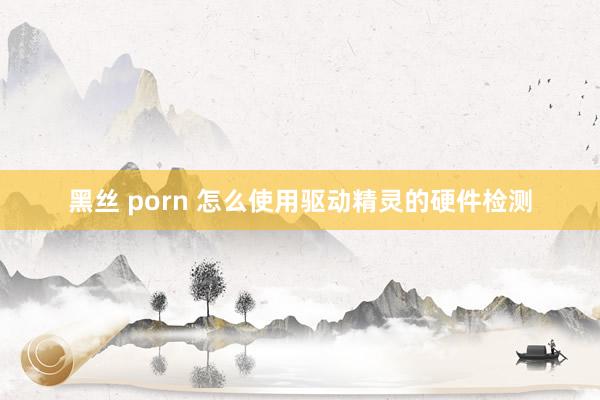 黑丝 porn 怎么使用驱动精灵的硬件检测