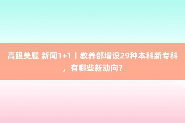 高跟美腿 新闻1+1丨教养部增设29种本科新专科，有哪些新动向？