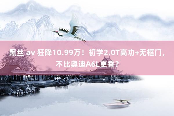 黑丝 av 狂降10.99万！初学2.0T高功+无框门，不比奥迪A6L更香？