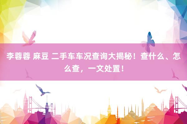 李蓉蓉 麻豆 二手车车况查询大揭秘！查什么、怎么查，一文处置！